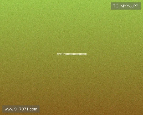 玩转“好13”：不止于炫耀，更是生活格调的深度探索